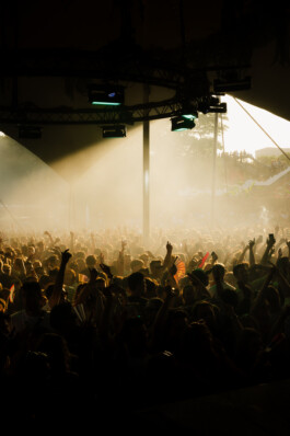Overzichtsfoto van dansende mensen met zonlicht tijdens Het Nest Festival in het Goffertpark in Nijmegen ZWTSR Fotografie