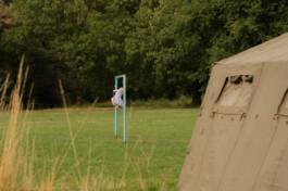  ZWTSR Fotografie