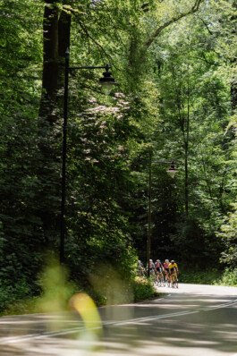 Wielrensters rijden in het peloton tijdens het NK Wielrennen in Arnhem ZWTSR Fotografie