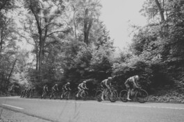 Wielrensters rijden in het peloton tijdens het NK Wielrennen in Arnhem ZWTSR Fotografie