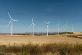 NAVARRA ZWTSR Fotografie